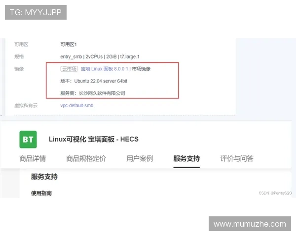 开云网址登录线路故障排查指南帮助用户快速解决登录问题