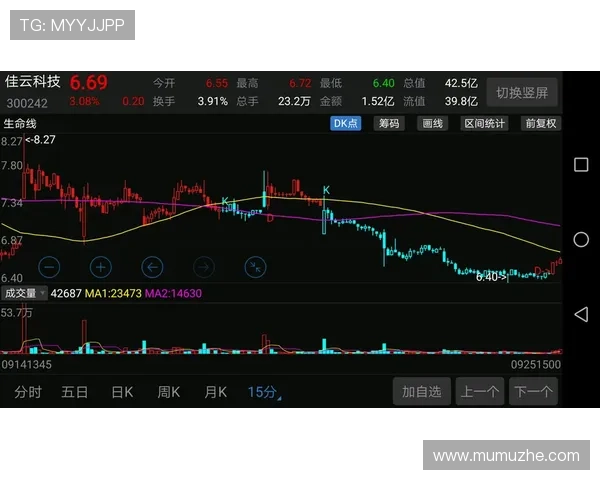 开云pp市场行情分析,投资与收藏的最佳时机探讨 开云pp市场行情分析,投资与收藏的最佳时机探讨