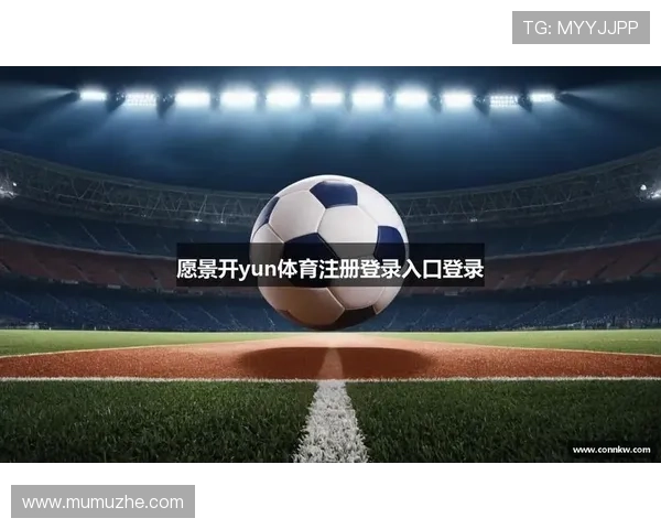 开云KY在线登录入口稳定快速登录方法及账号安全保障措施